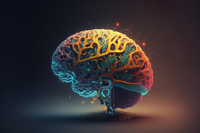 AI/ML Solutions